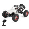 Whizplaymart RC Auto - Rock Off-Road Rennfahrzeug RC Crawler Truck