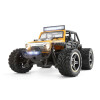 Whizplaymart Mini RC Auto 2WD Off-Road Voertuig met Licht