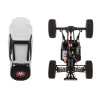 Whizplaymart Coche RC Vehículo de carreras todoterreno Rock RC Crawler Truck